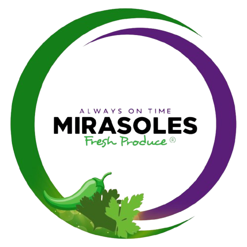 Logo de Mirasoles Logo de Mirasoles